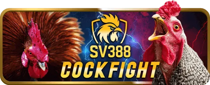 Các chương trình khuyến mãi và tiền thưởng tại 23win01